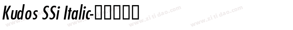 Kudos SSi Italic字体转换